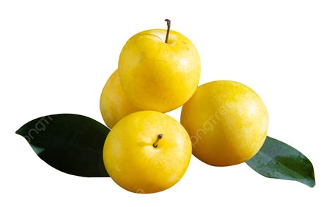 yellow plum porn|YellowPlum .